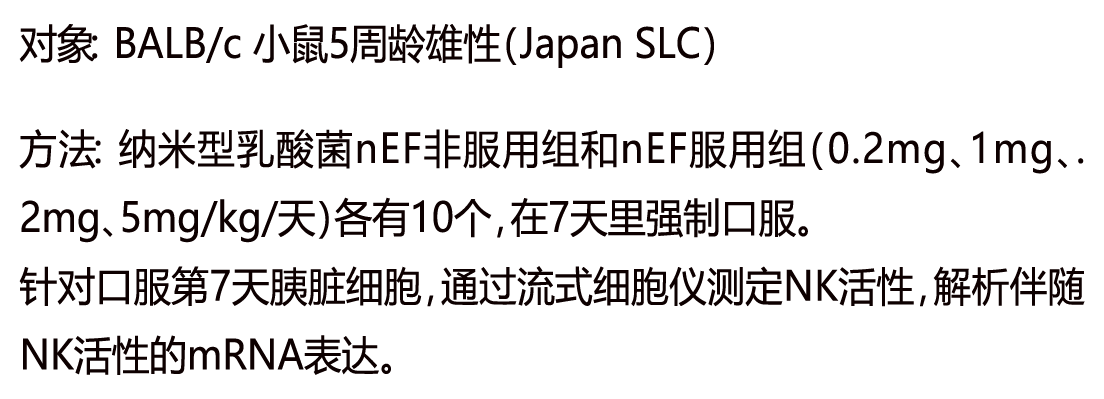 纳米型乳酸菌nEF
